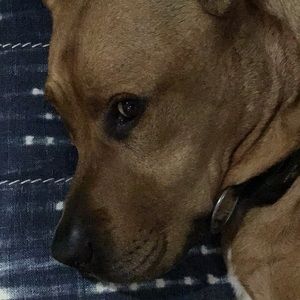 Meet your Posher, Mary jo